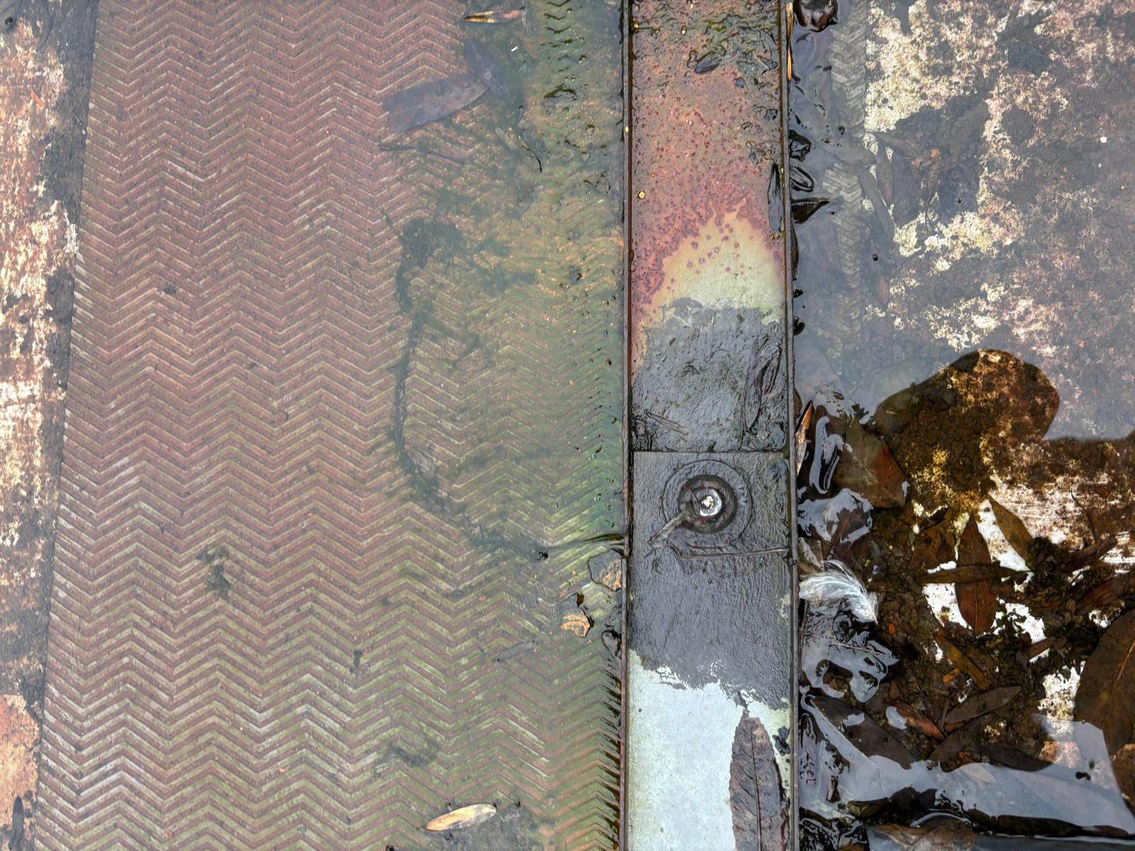 Rotted mounting system with standing water